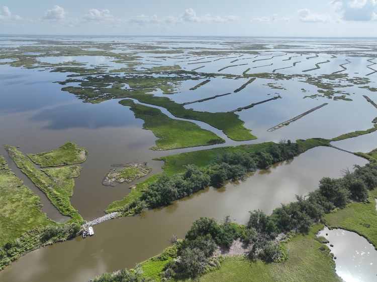 Protecting Marshes, Preserving Culture: Restoring Coastal Resilience in Pointe-au-Chien